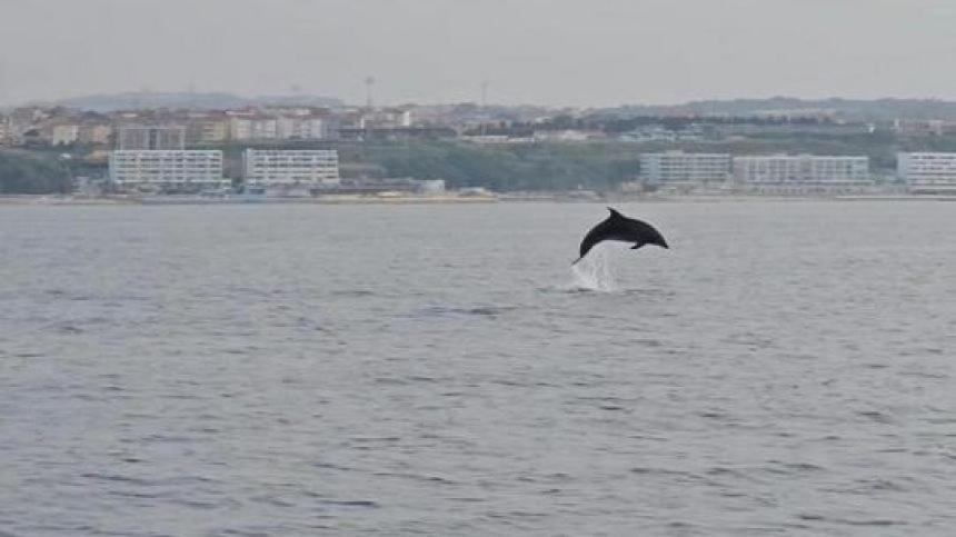 Appartamento La Perla Dell'Adriatico Termoli Esterno foto